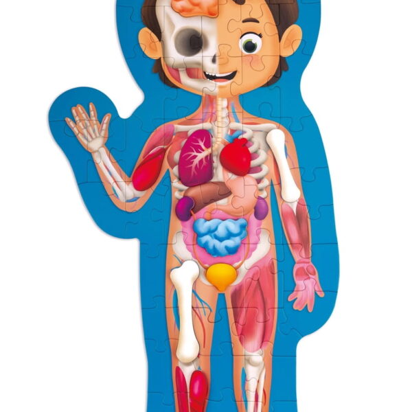 Emberi Test Oktató Puzzle 100x50cm 4év+